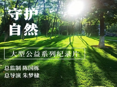 最具轉(zhuǎn)化影視的文學(xué)大IP亮相上海國(guó)際電影節(jié)